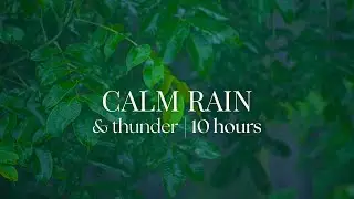 10 Hour | Spiritual Rain Meditation | Insomnia | Study | Focus | Spa | Calming Background Ambience
