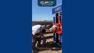 Cepos CLIPEX