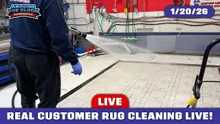 LIVE Rug Washing for REAL Customers! #rugcleaning