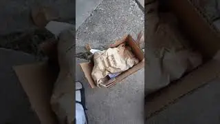 Ls2 90mm throttle body unboxing