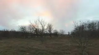 The Quiet Hours | January Dusk in the Dutch Dunes