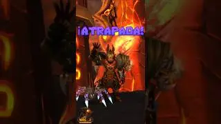 🕷️DETH&acute;TILAC 🔥(pet ara&ntilde;a morada) #shorts #wowpets #cataclysm #tinchogamerplus #whitemane