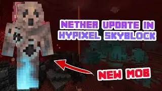 The Next Update In Hypixel Skyblock - The Nether Update