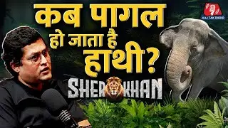 SherKhan : हाथी कब पागल हो जाता है ? | Khanchaa | Indian Elephant | Forest | Jungle | Wildlife
