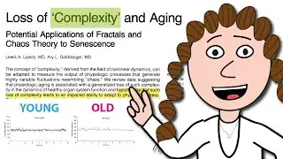 What complexity tells us about aging.