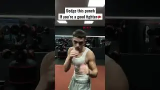 Dodge This Punch