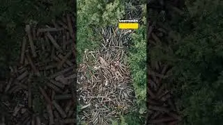 Ukrainian Defenders Send Greetings While Lying on Spent Shells #warinukraine