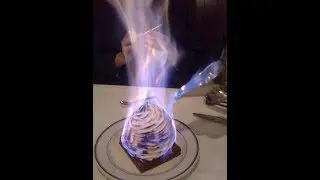 ZTV Stupid Stuff: Ep 06 - Sweet Jesus (Ice Cream From Hell?)