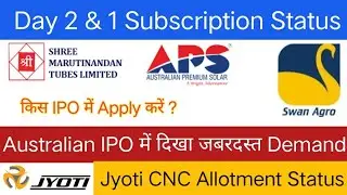 New Swan Multitech IPO | Australian Premium Solar IPO | Day 2 Subscriptions | Marutinandan IPO |