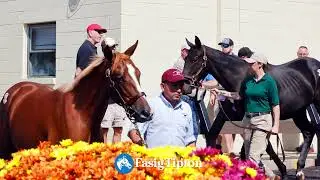 Fasig-Tipton 2024 Midlantic Fall Yearlings
