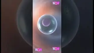 How Pregnancy Starts: Ovulation to Implantation | Ultra Realistic 3D Animation Explained