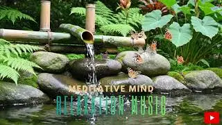 A Quiet Harmony Between Breath and Sound