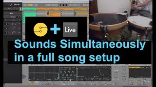 Full Song Tutorial using Sensory Percussion Samplers and Ableton Live Instruments *Simultaneously*