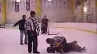 Huge Minor League Hockey Hit