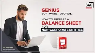 Genius Software Tutorial: How to Prepare a Balance Sheet for Non-Corporate Entities