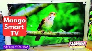 Mango Google Smart TV - Best Color TV in The World