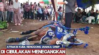 Kuda renggong atraksi - Atraksi kuda renggong di cibulakan menegangkan
