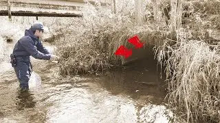 【道東の渓流】ポテンシャルがヤバい川でトラウトフィッシング【Trout Fishing】