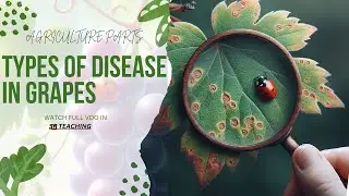 DISEASES OF GRAPEVINE