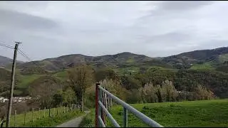 Urepel