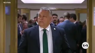 NATO Allies Pressure Hungary for Blocking Sweden&rsquo;s Accession