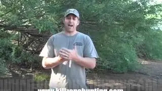 Ground Blind Hunting Public Land