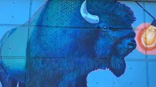 Bulls vs Bears, HEX Pulse PulseX, Ravencoin Halving, Epik Prime, XRP Update, and Galaktic Gang NFT&rsquo;s