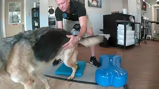 Nov 18   King Fitbone and balance pad