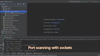 Mastering Python for Networking and Security - Second Edition | 3. Socket Programming