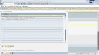 4. Definition einer Organisationeinheit in SAP ERP