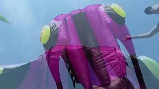 Soft Winds and the Trilobite Kite