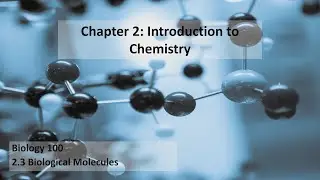 Biological Molecule