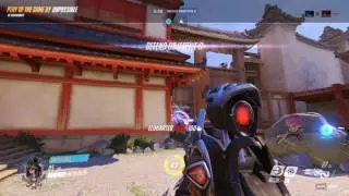 Widow Sucks