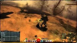 Gw2 19582 DMG