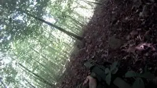 Airsoft Action - Ambush - ICS L85 (GOPRO)
