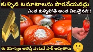 వామ్మో 😱కుళ్ళిన🍅🤔టమాటాలను పడే వేస్తున్నారా?👉ఈ సీక్రెట్ తెలిసిన వెంటనే షాక్ అవుతారు🤫#moneysavingtips#