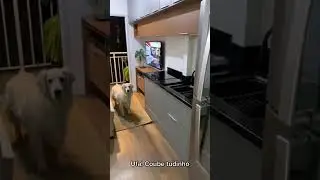 Apartamento de 26 metros quadrados?? Cabe Nada??