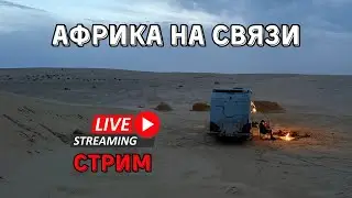 Тунис на связи! СТРИМ!!!!