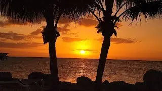 Key West Adventures