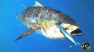 Pescando 