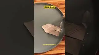Science Experiment : Soap Boat #facts #fun #science  #viral #fyp #youtubeshorts #trending #shorts