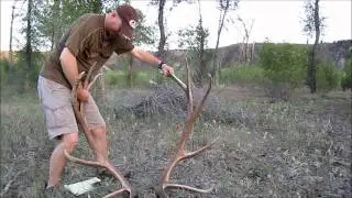 How to Score the an Elk Antler-Inside Spread and Final Score by JayScottOutdoors