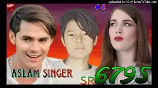 Aslam_singer_Zamidar_seriyal_no_006795_new_mewati_song_aslam_singer_(128k)