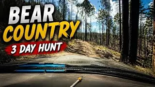 Highlight from Grit & Black Bears: Tony&rsquo;s 3 Day Live Hunt Adventure!