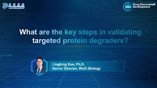 What are the Key Steps in Validating Targeted Protein Degraders?