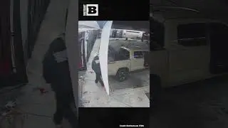 What Kind of Low-Life Crashes a Truck into a Building to Steal Someone's Cat?!