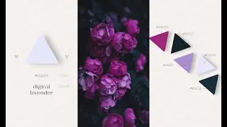 WGSN COLOUR OF 2023