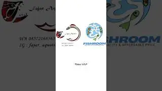 From fajar_aquatic To FISHROOM  #news #fajar_aquatic #FISHROOM
