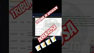 Derek Rosa Tribunal de Apelaci&oacute;n 🕵️&zwj;♀️🕵️&zwj;♀️📝📝📝📝