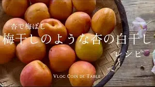 Recette Umeboshi abricot 杏で梅ぼし/梅干しのような杏の白干しのレシピ/ ONIGIRI